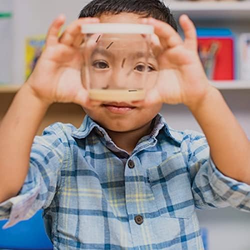 Insect Lore Cup of Caterpillars - 5 Live Painted Lady Caterpillars with Food - Refill for Butterfly Garden Kit - Stickers & Chrys-A-Lid Holding Log Included - STEM Learning Activity-BubblyBeeBaby