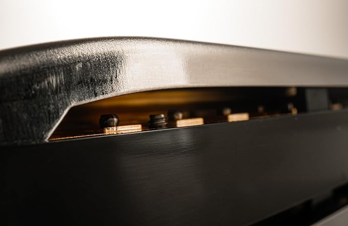 Hohner Special 20 Harmonica - Key of C Bundle with Key Stickers, Plastic Case, Instructional Manual, and Austin Bazaar Polishing Cloth-BubblyBeeBaby