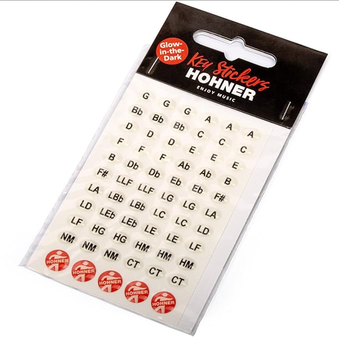 Hohner 560 Special 20 Harmonica - Key of F Sharp Bundle with Carrying Case, Key Stickers, Harmonica Beginner Online Manual, and Austin Bazaar Polishing Cloth-BubblyBeeBaby