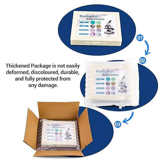 100 Prepared Microscope Slides with Specimens for Kids Adults - Bacterium, Fungus, Human Tissues, Mitosis, Plants, Insects, Animals Cells Samples for Biological Science Lab, School Students-BubblyBeeBaby