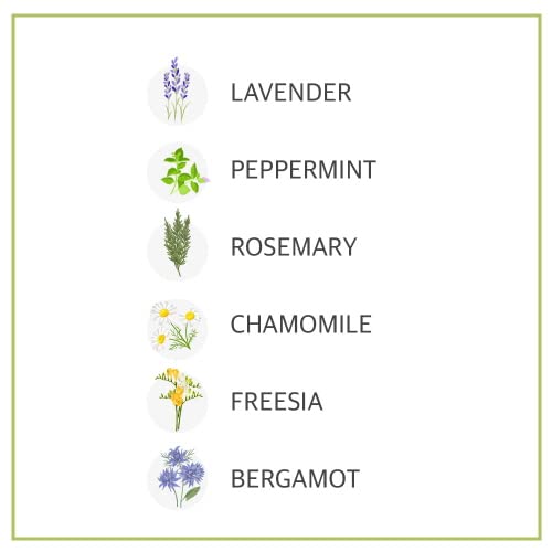 I'm NOT A Baby! Kids Body Wash– Dermatologist Tested, Allergen free, Cruelty-free, PETA, Gentle for Kids, Goat Milk, 16.9 Fl Oz-BubblyBeeBaby