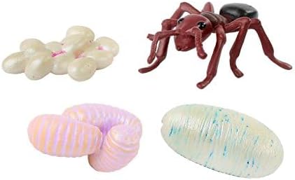 Insect Lore Butterfly Garden - 8" Habitat with 5 Live Baby Caterpillars - Includes Life Cycle Figurines, Stickers, Wind up, Mini Habitat | Birthday or Teacher Gift Set-BubblyBeeBaby