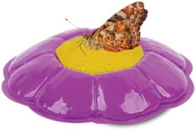 Insect Lore Butterfly Garden with Live Cup of Caterpillars | English and Spanish STEM Activity Journals | 5 Painted Lady Butterfly Baby Caterpillars and Mesh Habitat-BubblyBeeBaby
