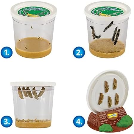 Insect Lore Butterfly Garden with Live Cup of Caterpillars | English and Spanish STEM Activity Journals | 5 Painted Lady Butterfly Baby Caterpillars and Mesh Habitat-BubblyBeeBaby