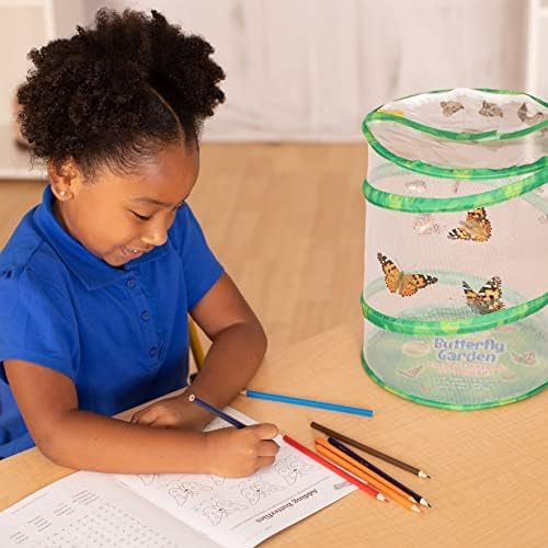 Insect Lore Butterfly Garden with Giant Birthday Card - 5 Live Baby Caterpillars, STEM Activity Journal, Habitat, Chrys-A-Lid Holder, Feeder - Raise and Release Painted Lady Butterflies-BubblyBeeBaby