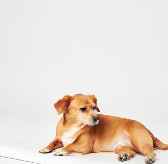 Inspire Super and Ultra Absorbent Reusable Bed Pads (23" X 36" Reusable 2 Pack)-BubblyBeeBaby