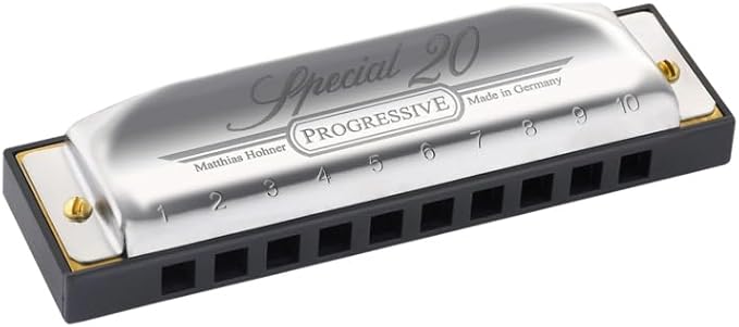 Hohner Special 20 Harmonica - Key of G Bundle with Carrying Case, Key Stickers, Online Manual, and Austin Bazaar Polishing Cloth-BubblyBeeBaby