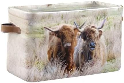 Highland Cows Storage Basket Cube Storage Bins Organizer Bag Collapsible Closet Shelf Baskets with handle for Baby Cloth Pet Toy Book 14.2×10.2×8.3 IN-BubblyBeeBaby