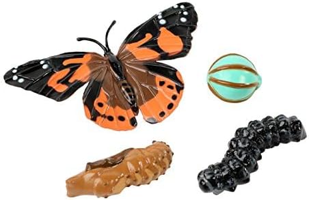 Insect Lore Cup Caterpillars - 5 Live Painted Lady Caterpillars with Food - Includes Figurines - Refill Kit for Butterfly Garden Habitat - STEM Science Activity for Kids and Classrooms-BubblyBeeBaby