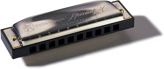 Hohner 560 Special 20 Harmonica - Key of F Sharp Bundle with Carrying Case, Key Stickers, Harmonica Beginner Online Manual, and Austin Bazaar Polishing Cloth-BubblyBeeBaby