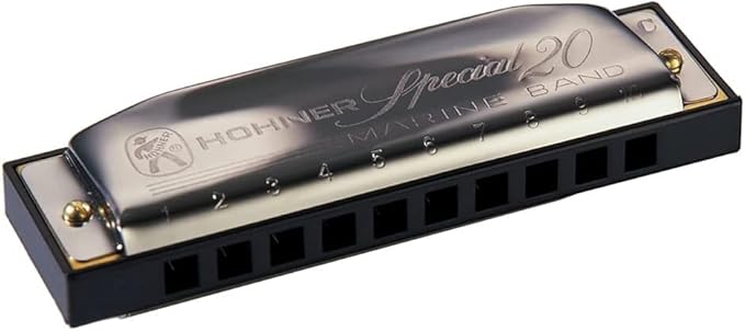 Hohner Special 20 Harmonica - Key of F Sharp Bundle with Case, Pouch, Online Manual, and Austin Bazaar Polishing Cloth-BubblyBeeBaby