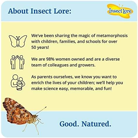 Insect Lore Bug Camp Bundle - Butterfly Kit with 5 Live Caterpillars, Ladybug Land with 1 Tube Live Larvae, Ant Mountain with 1 Tube Live Western Harvester Ants - Bonus Life Cycle Figurines & More-BubblyBeeBaby