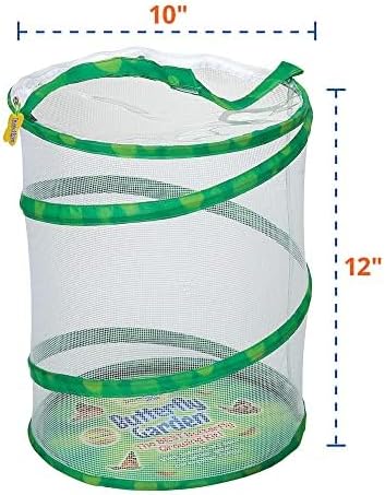 Insect Lore Butterfly Garden with Two Cups of Live Caterpillars, Life Cycle Figurines, English and Spanish Butterfly STEM Activity Journals | 10 Painted Lady Butterfly Baby Caterpillars-BubblyBeeBaby