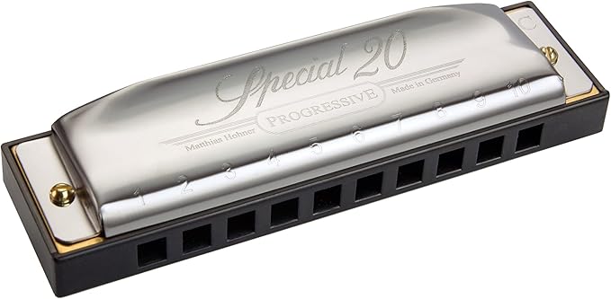Hohner 560 Special 20 Harmonica - Key of D Bundle with Carrying Case, Key Stickers, Harmonica Beginner Online Manual, and Austin Bazaar Polishing Cloth-BubblyBeeBaby