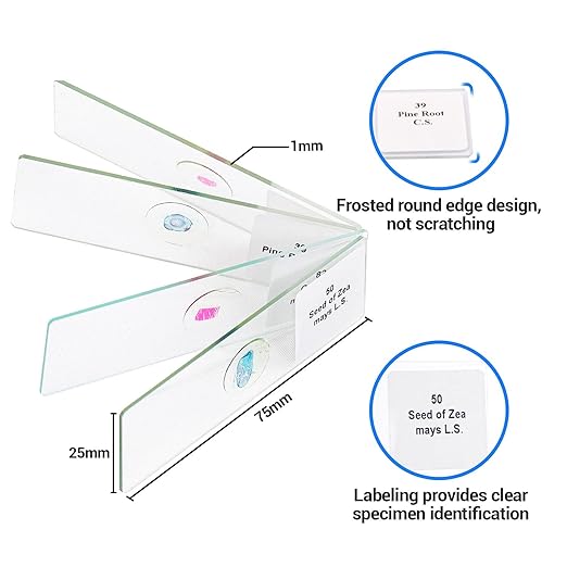 100 Prepared Microscope Slides with Specimens for Kids Adults - Bacterium, Fungus, Human Tissues, Mitosis, Plants, Insects, Animals Cells Samples for Biological Science Lab, School Students-BubblyBeeBaby