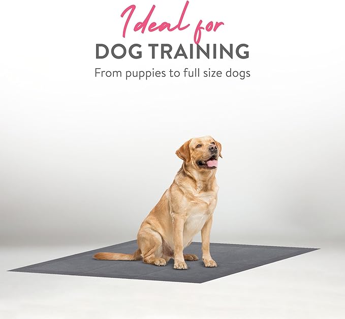 Inspire XL 36 x 36 Ultra Underpads Incontinence Bed Pads | Contemporary Modern Design | Hospital Bed Pads Disposable Adult Extra Large Chux Pads | Chucks Pads Disposable Adult | Medical Bed Linens.-BubblyBeeBaby