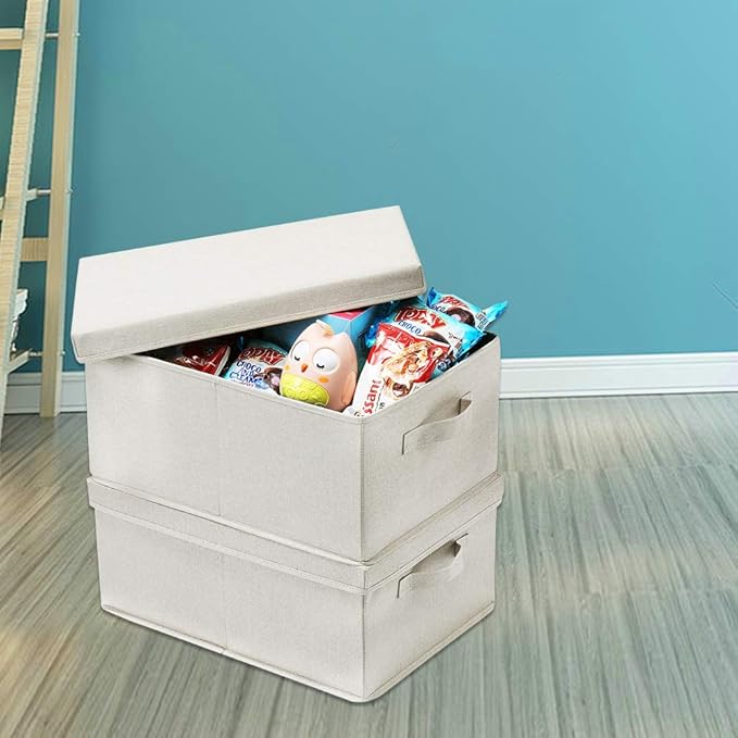 HOONEX Foldable Storage Bins with Lids, 2 Pack, Storage Boxes with Carrying Handles and Sturdy Heavy Cardboard, 16.5" L x 11.8" W x 7.5" H for Shoes, Books, Clothes, Linens, Beige-BubblyBeeBaby