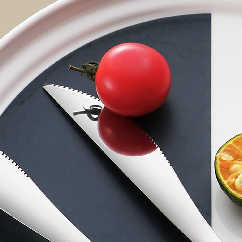 VANRA 4-Piece Portable Travel Utensils Set with Case 18/8 Stainless Steel Flatware Set Reusable Cutlery Set with Fork Spoon Knife Chopstick for Lunch Travel Camping School Work Picnic (Silver)