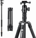 Fotopro 73" Carbon Fiber Tripod for Camera, Compact Travel Tripod with Ball Head, Detachable Monopod with Quick Release Plate and Camera Bag, Load up to 22lbs/10KG