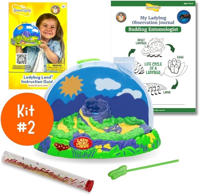 Insect Lore Bug Camp Bundle - Butterfly Kit with 5 Live Caterpillars, Ladybug Land with 1 Tube Live Larvae, Ant Mountain with 1 Tube Live Western Harvester Ants - Bonus Life Cycle Figurines & More-BubblyBeeBaby