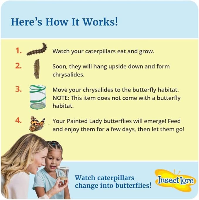 Insect Lore Two Cups of Live Caterpillars - 10 Live Painted Lady Caterpillars with Food - Includes Bonus Butterfly Life Cycle Figurines - Refill for Butterfly Garden Habitat-BubblyBeeBaby