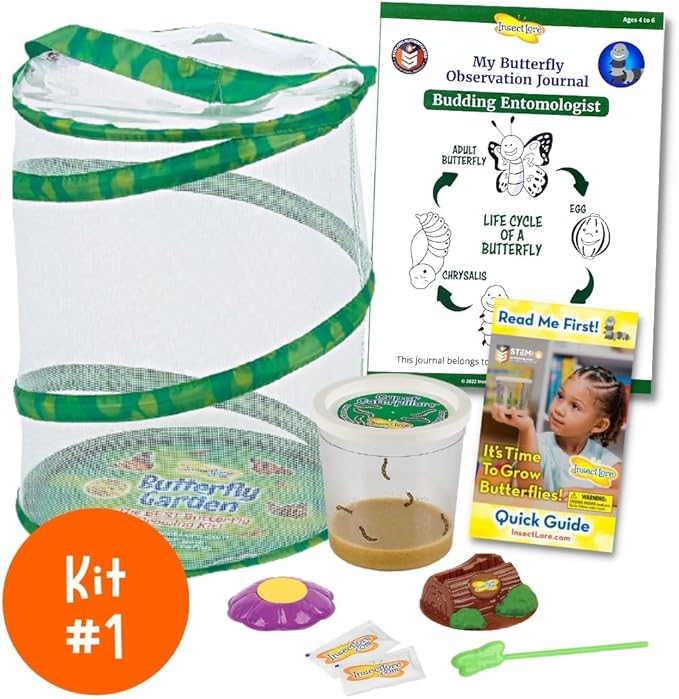 Insect Lore Bug Camp Bundle - Butterfly Kit with 5 Live Caterpillars, Ladybug Land with 1 Tube Live Larvae, Ant Mountain with 1 Tube Live Western Harvester Ants - Bonus Life Cycle Figurines & More-BubblyBeeBaby