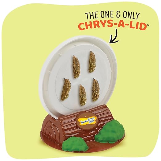 Insect Lore Cup of Caterpillars - 5 Live Painted Lady Caterpillars with Food - Refill for Butterfly Garden Kit - Stickers & Chrys-A-Lid Holding Log Included - STEM Learning Activity-BubblyBeeBaby
