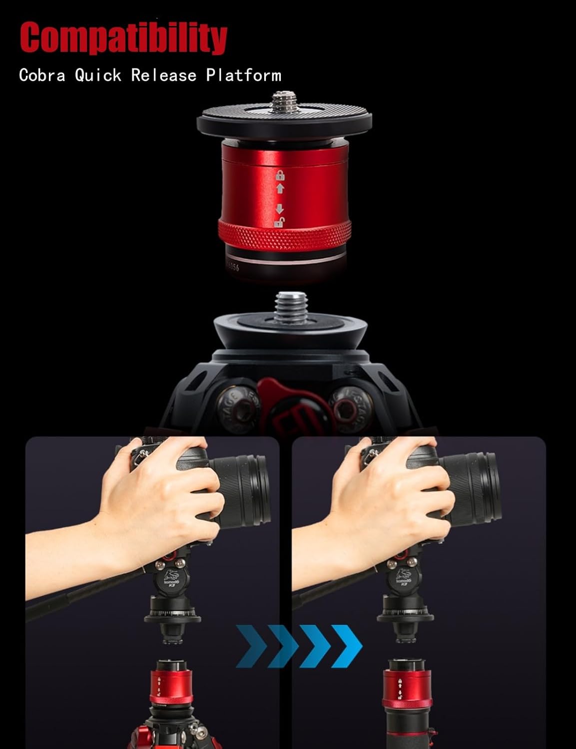 IFOOTAGE Gazelle TC3B+Komodo K3 Carbon Camera Tripod with Fluid Head,Portable Travel Tripod,for Professional Photography, Content Creation, Vlogging and Video Production