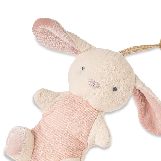 Itzy Ritzy Pacifier & Lovey Set - Natural Rubber Pacifier with Stuffed Animal Lovey - Detachable Plush Bunny Binky Holder & Coordinating Natural Rubber Binky, Ideal for Ages 0-6 Months (Bunny)-BubblyBeeBaby