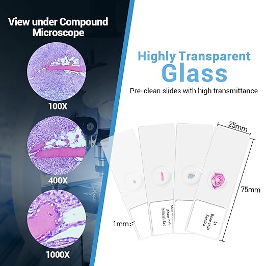100Pcs Prepared Microscope Slides Set Professional Specimens for Kids Student Homeschool Use-BubblyBeeBaby