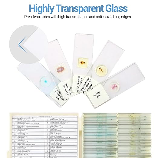120 Microscope Slides with Specimens for Kids, Prepared Microscope Slides for Kids Microbiology, Prepared Microscope Slides for Adults-BubblyBeeBaby