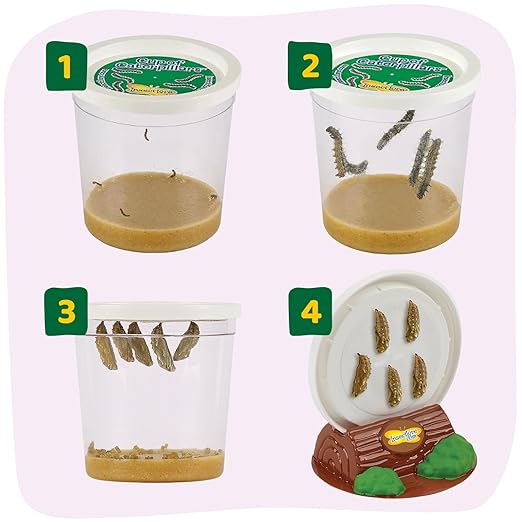 Insect Lore Cup of Caterpillars - 5 Live Painted Lady Caterpillars with Food - Refill for Butterfly Garden Kit - Stickers & Chrys-A-Lid Holding Log Included - STEM Learning Activity-BubblyBeeBaby