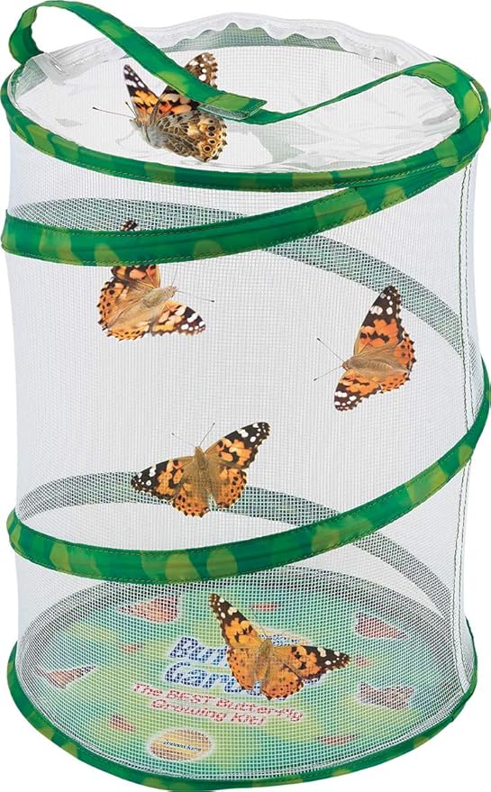 Insect Lore Butterfly Garden with Two Cups of Live Caterpillars, Life Cycle Figurines, English and Spanish Butterfly STEM Activity Journals | 10 Painted Lady Butterfly Baby Caterpillars-BubblyBeeBaby