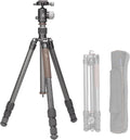Compact Carbon Fiber Travel Camera Tripod with Ball Head, Reverse Folding Design, Maxload 8kg, Folded Height 450mm (LX-254CT+XB-32)