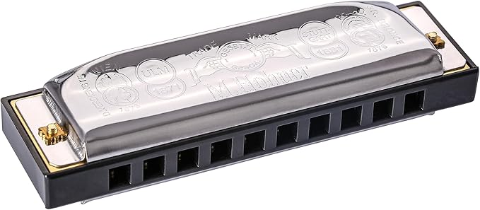 Hohner Special 20 Harmonica - Key of E Flat Bundle with Carrying Case, Pouch, Online Manual, and Austin Bazaar Polishing Cloth-BubblyBeeBaby