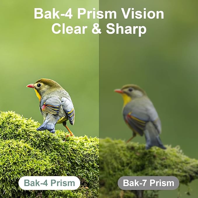 12X25 Mini Pocket Binoculars for Adults Kids, Small Compact Binoculars for Bird Watching, Opera Concert-BubblyBeeBaby