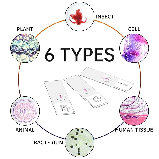 100Pcs Prepared Microscope Slides Set Professional Specimens for Kids Student Homeschool Use-BubblyBeeBaby