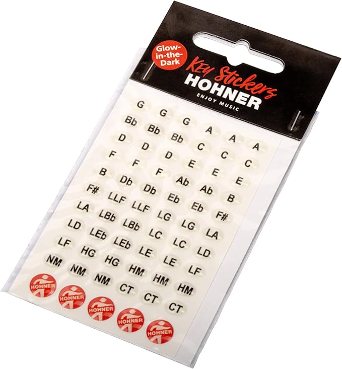 Hohner Special 20 Harmonica - Key of E Flat Bundle with Carrying Case, Key Stickers, Harmonica Beginner Online Manual, and Austin Bazaar Polishing Cloth-BubblyBeeBaby