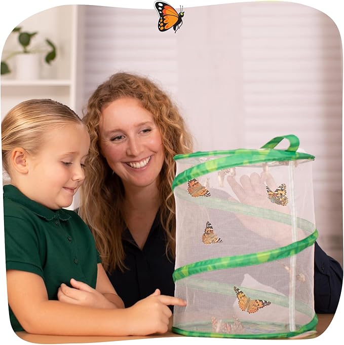 Insect Lore Raise and Release Butterfly Garden Kit – Caterpillar Habitat with redeemable Voucher – STEM-accredited Live Butterfly Growing Kit for Kids, Classrooms, and Homeschool Learning-BubblyBeeBaby