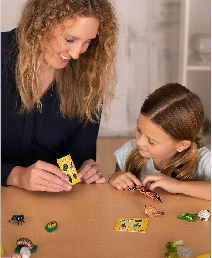 Insect Lore's Life Cycle Figurines 24 Pc Set | Butterfly, Ladybug, Frog, Honey Bee, Ant and Praying Mantis | 4 Stages Per Insect, 24 Figurines Total-BubblyBeeBaby