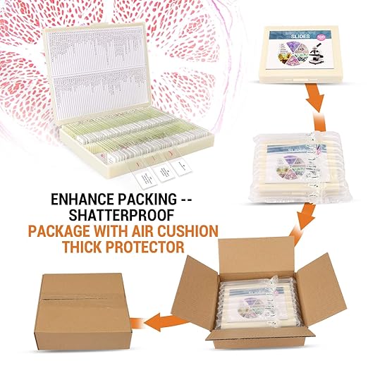 100Pcs Prepared Microscope Slides Set Professional Specimens for Kids Student Homeschool Use-BubblyBeeBaby