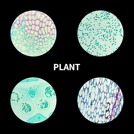 100Pcs Prepared Microscope Slides Set Professional Specimens for Kids Student Homeschool Use-BubblyBeeBaby