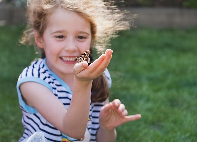 Insect Lore Two Cups of Live Caterpillars - 10 Live Painted Lady Caterpillars with Food - Includes Bonus Butterfly Life Cycle Figurines - Refill for Butterfly Garden Habitat-BubblyBeeBaby