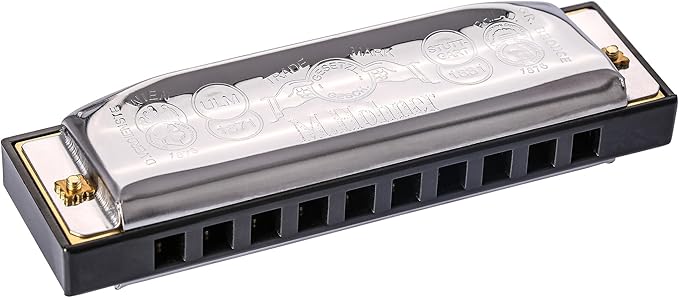 Hohner Special 20 Harmonica - Key of A Bundle with Case, Pouch, Online Manual, and Austin Bazaar Polishing Cloth-BubblyBeeBaby