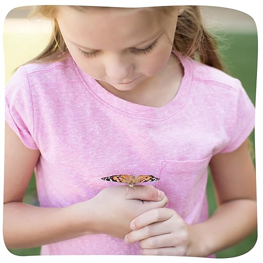 Insect Lore Cup of Caterpillars - 5 Live Painted Lady Caterpillars with Food - Refill for Butterfly Garden Kit - Stickers & Chrys-A-Lid Holding Log Included - STEM Learning Activity-BubblyBeeBaby