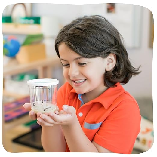 Insect Lore Cup of Caterpillars - 5 Live Painted Lady Caterpillars with Food - Refill for Butterfly Garden Kit - Stickers & Chrys-A-Lid Holding Log Included - STEM Learning Activity-BubblyBeeBaby