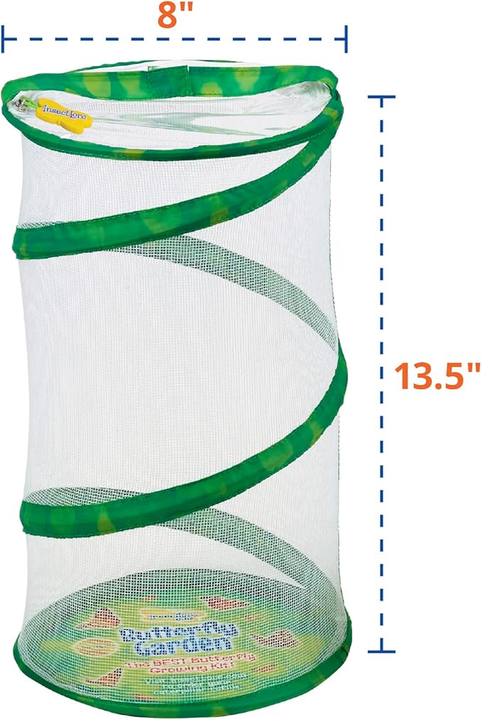 Insect Lore Butterfly Garden - 8" Habitat with 5 Live Baby Caterpillars - Includes Life Cycle Figurines, Stickers, Wind up, Mini Habitat | Birthday or Teacher Gift Set-BubblyBeeBaby