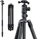 Fotopro Carbon Fiber Tripod 64 Inch 360 Degree Ball Head Quick Release Plate Camera Tripod Compatible with Canon Nikon Sony DSLR Camcorder, Black