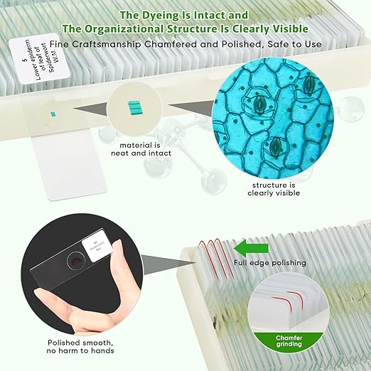 120 Microscope Slides with Specimens,Prepared Microscope Slides for Kids,Glass Slides for Microscope,Prepared Slides for Kids Microscope,Microscope Slide Preparation Kit for Biology Science Classes-BubblyBeeBaby