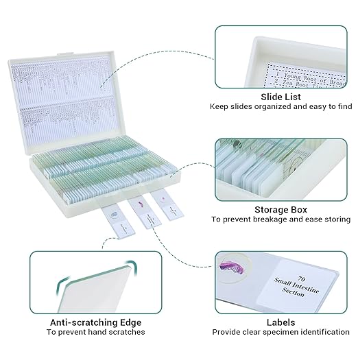 100 Microscope Slides with Specimens for Kids and Adults, Prepared Microscope Slides with Plants Animals Insects for Students Homeschool Edu-BubblyBeeBaby